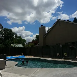Beautiful pool