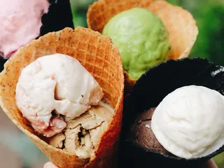 Toad Hop Creamery