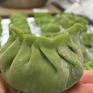 a hand holding a dumpling
