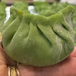 a hand holding a dumpling