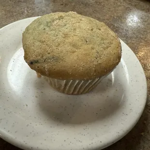 Blueberry muffin. (Warm)