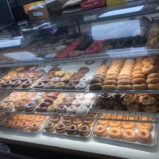 Plain Bagel etc