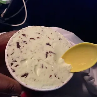 Pint mint chocolate chip