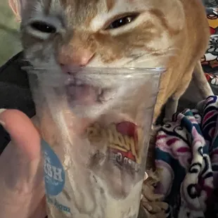 Andy&apos;s frozen custard