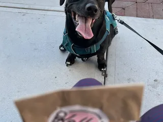 Kelly’s Homemade Ice Cream