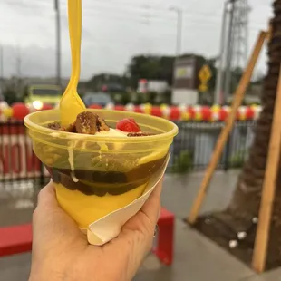 Turtle sundae