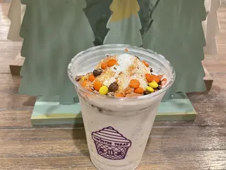 Twistee Treat - New Tampa