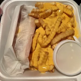 Hot Dogs