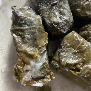Hair and slime on old grape leaves