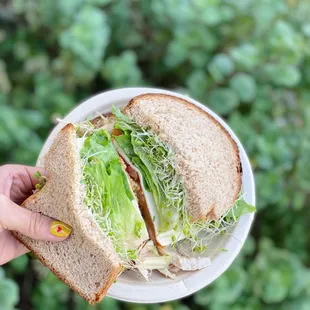 Tuna Melt Sandwich
