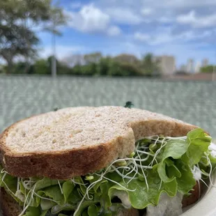 a sandwich on a plate