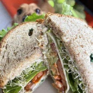 food, sandwich, sandwiches