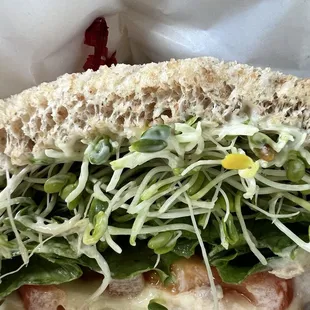 Tuna melt ($10.99 plus tax)