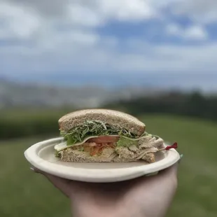 Cheese Sandwich
