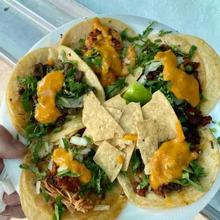 Carnitas, pastor, Asada and shrimp tacos