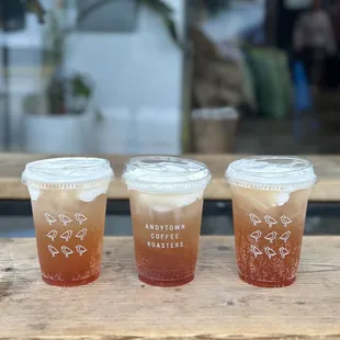 Pomegranate plover (seasonal)