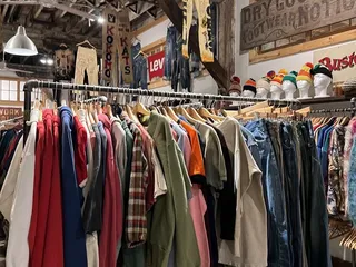 The Cat and the Cobra