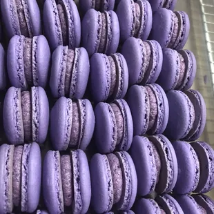 Ube Macarons