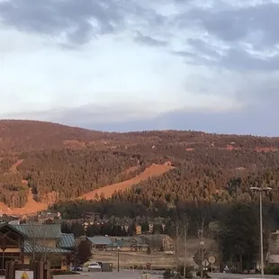 View from the patio