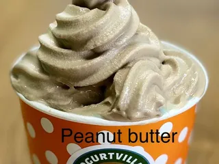 Yogurtvilla