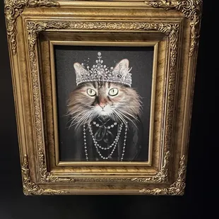 Cat theme everywhere