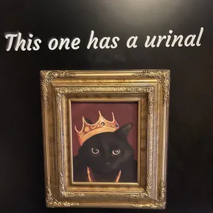 This is the 'men's' room