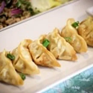 Fried Pork Dumplings