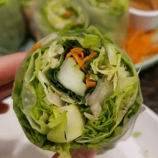 Fresh Spring Rolls with Shrimp up close