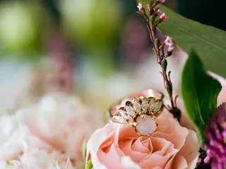 Fox & Loon Photography