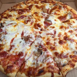 Medium Pepperoni &amp; Mushroom Pizza.. It was really good (tastes like Teresa's Pizza- the local chain pizza shop)