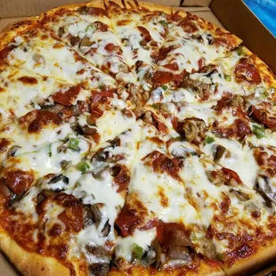 Large deluxe pizza