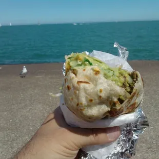 Carne asada burrito splendor at lake michigan