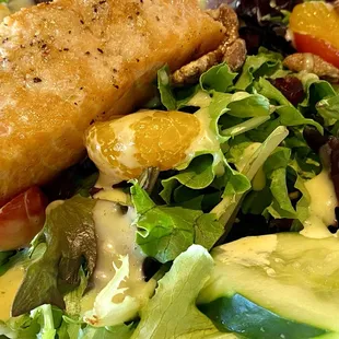 Salmon Salad