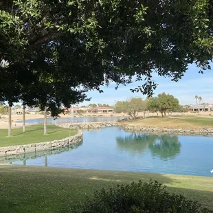 View from the patio