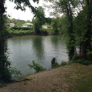 View of the river from downstairs