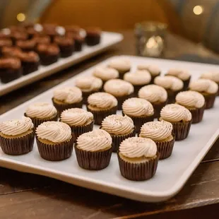 Tiramisu Cupcake