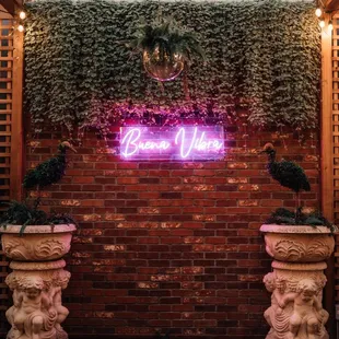 Outdoor dining and good vibes