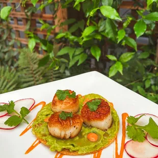 Scallop tostada