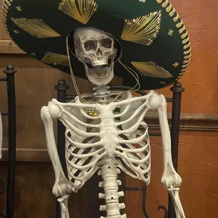 interior, sushi and sashimi