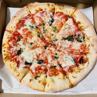 Margherita Pizza (small)--solid!