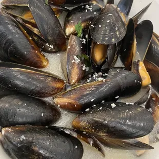Mussels