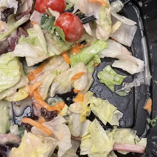 Large House Salad