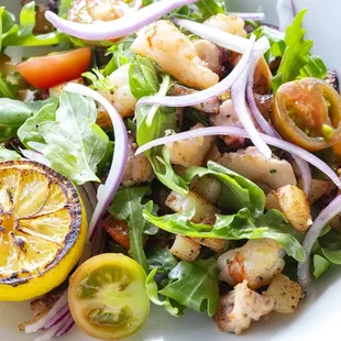 Polipo Insalate; Warm arugula salad with octopus, shrimp, prawns, red onions, celery, cherry tomatoes, lemon dressing