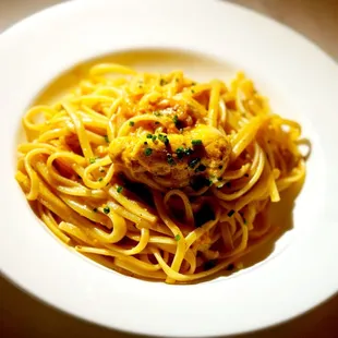 Linguini pasta with uni