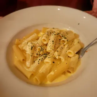 Alfredo with Rigatoni