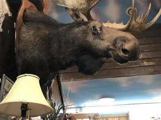 Sylvesters Western Wear