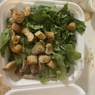 Caesar  salad