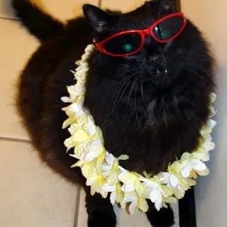 Holly S.