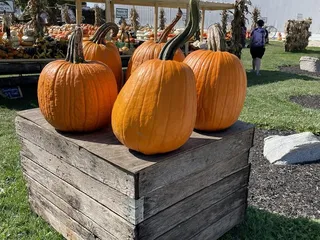 Meyer Family Farm Vegetable Stand