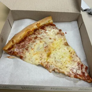 1 slice of plain Cheese Pizza